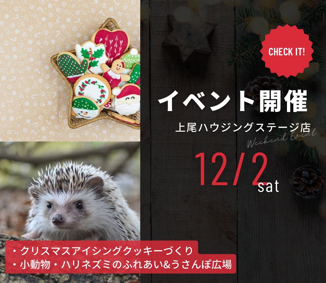 クリスマスアイシングクッキーづくり、小動物・ハリネズミのふれあい＆うさんぽ広場などイベント開催！ 写真