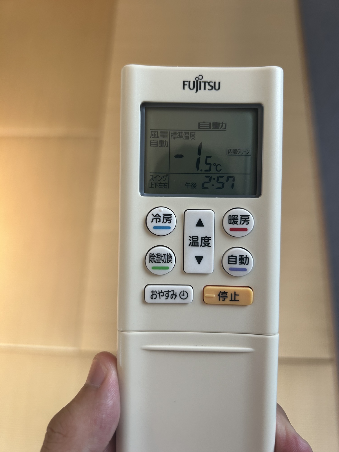 夏の暑さを感じます。