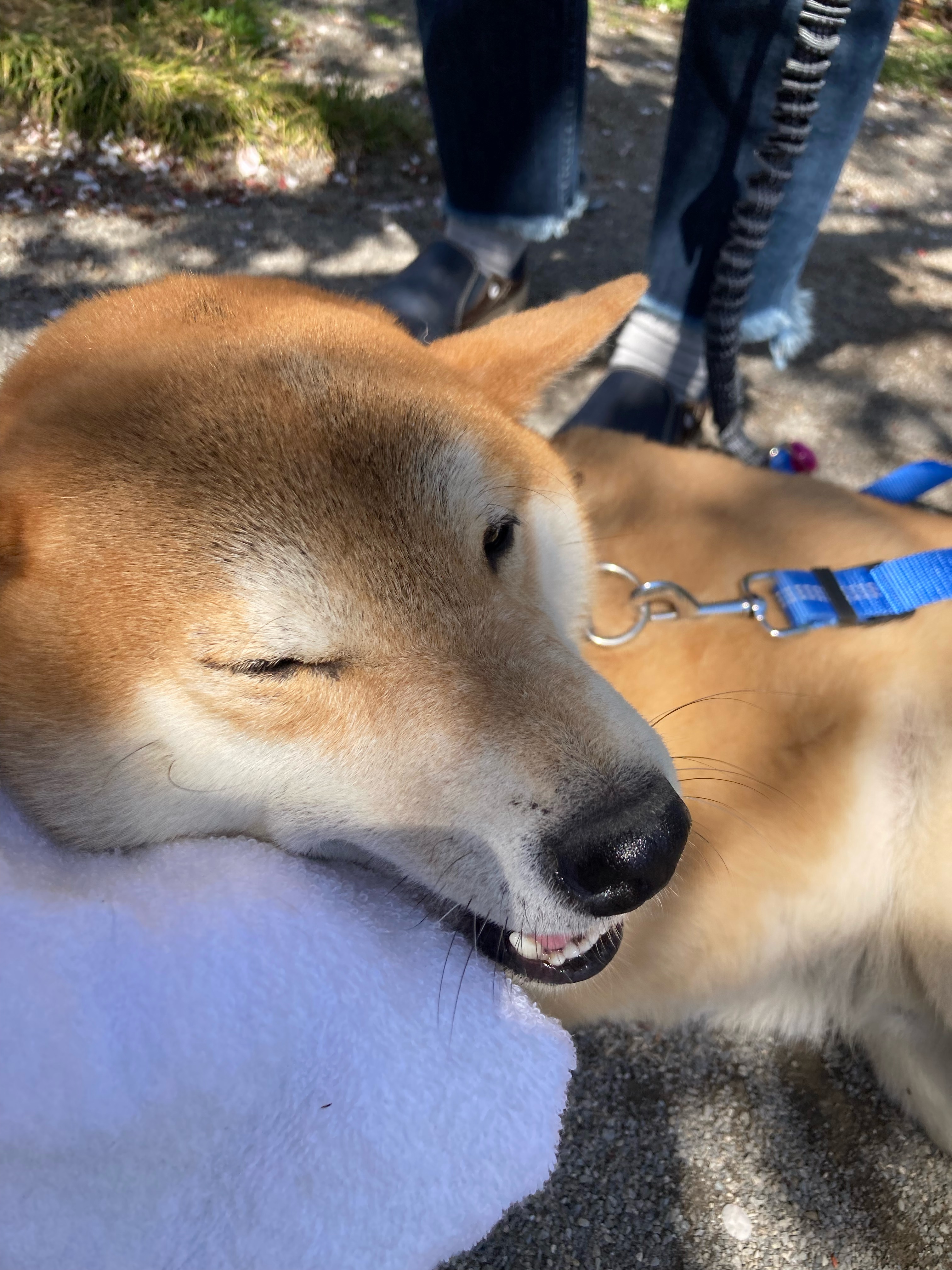暑さに負けないぞ！