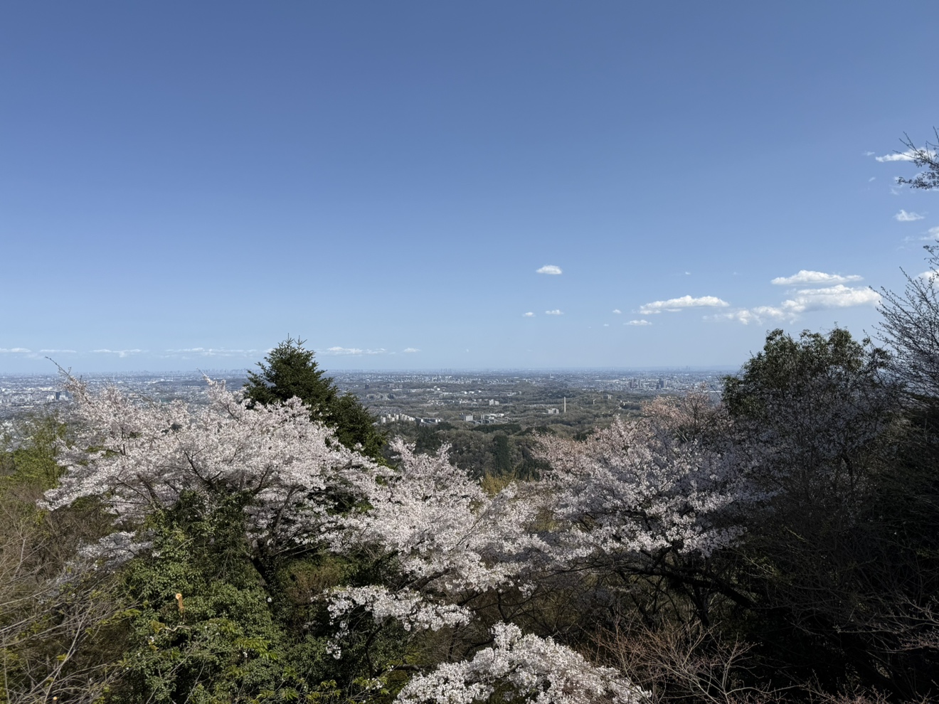 天気、気持ちいいよね。☀