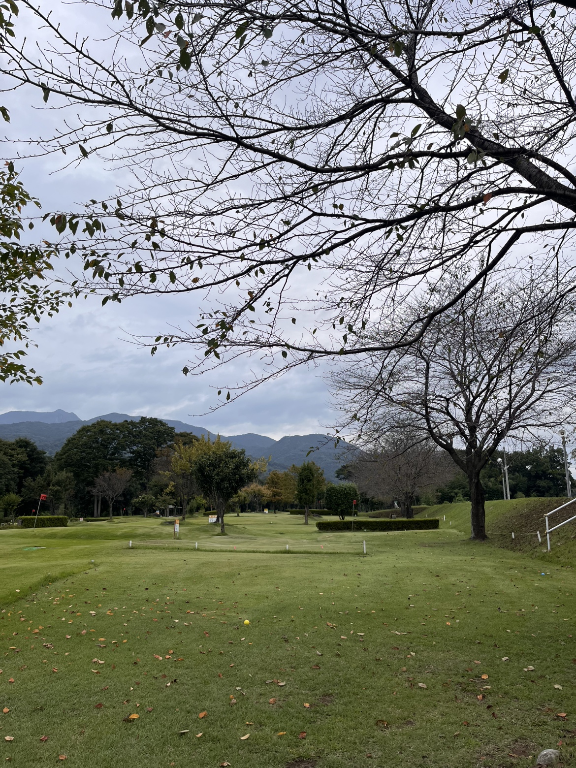 行楽日和の秋🍂
