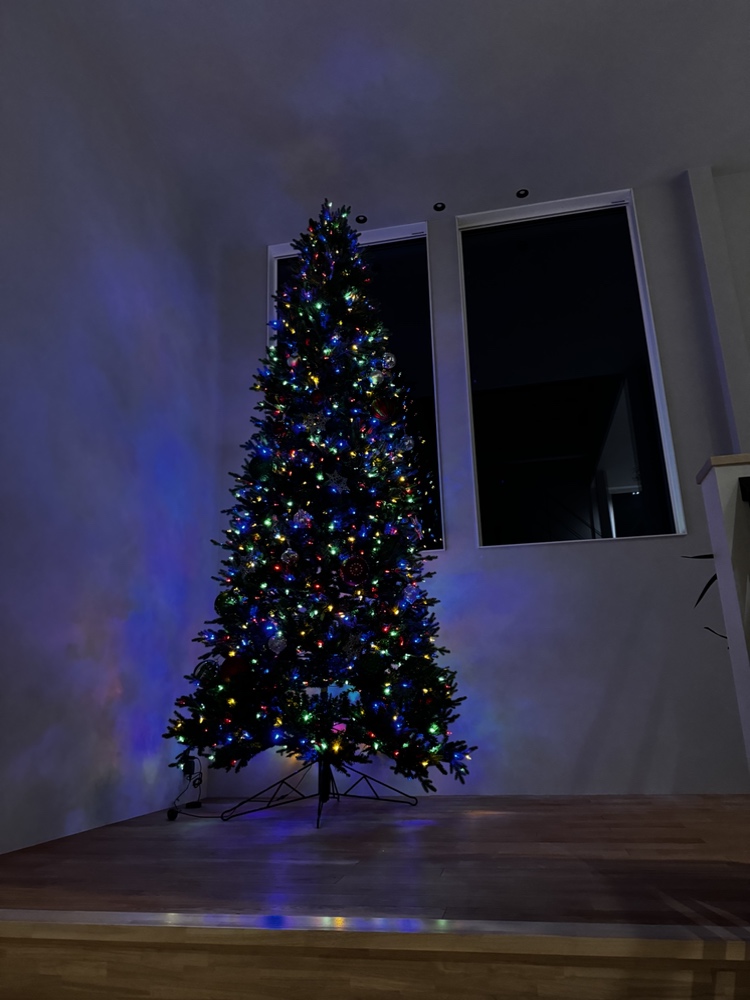 wonderHAUSで一番大きいクリスマスツリー！