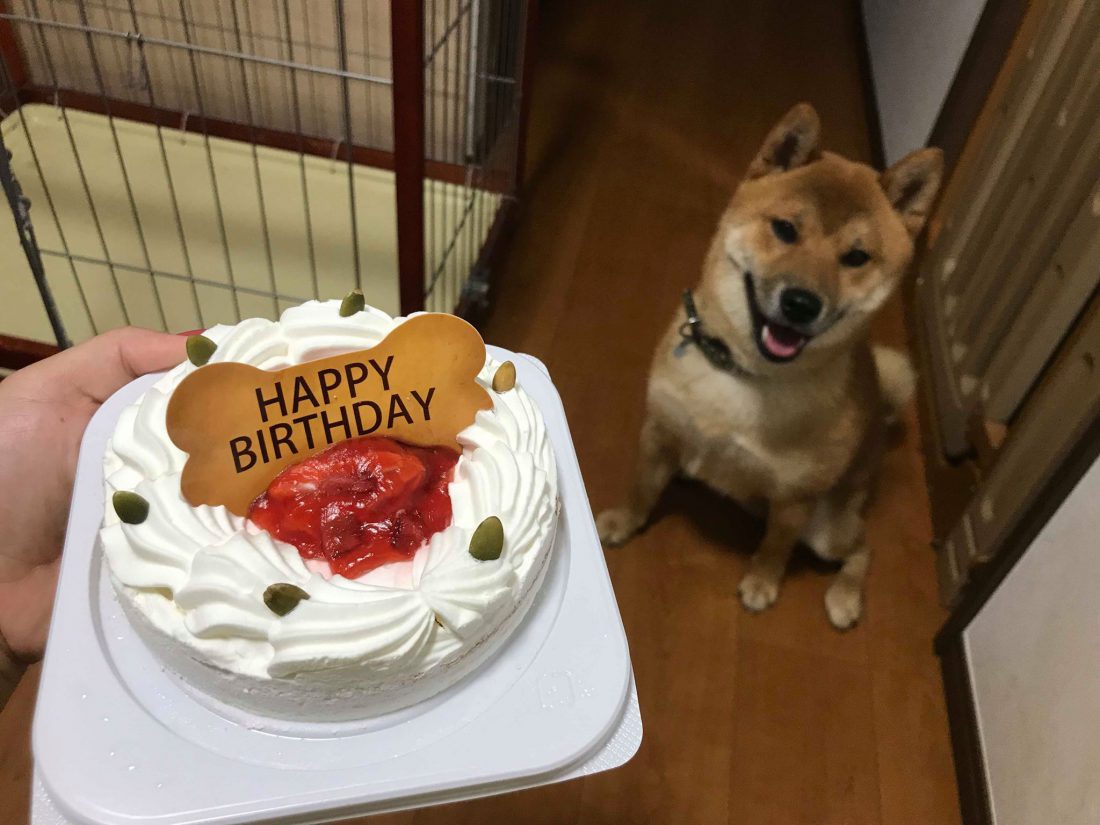 happybirthday☆
