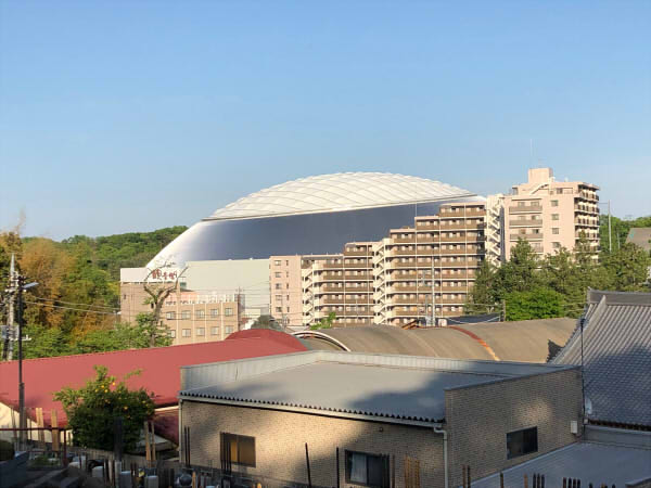 お散歩
