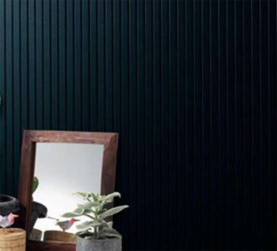 モエンエクセラード16　リブ９(モノカラー)