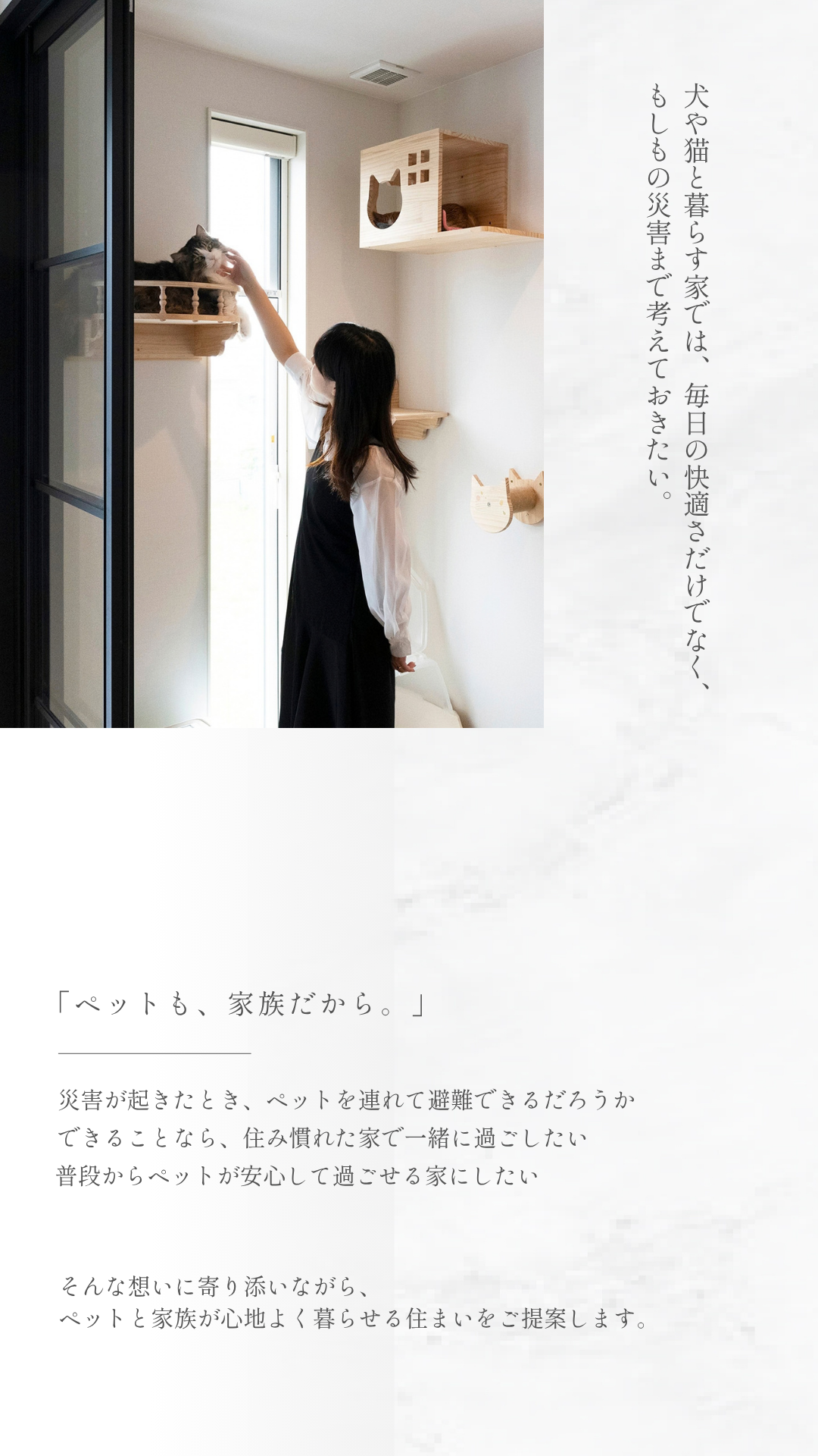 ペットと暮らす相談会、埼玉注文住宅、耐震住宅、災害に強い住宅、相談会、高性能住宅、SE構法、大空間・大開口、デザイン性、高気密・高断熱、吹き抜け、家事動線、子育て世帯、共働き世帯、共働き夫婦