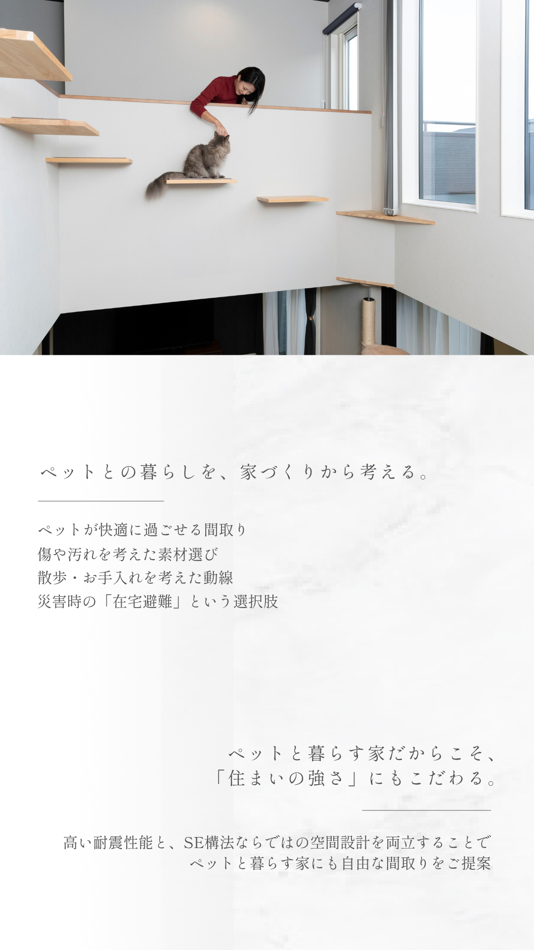ペットと暮らす相談会、埼玉注文住宅、耐震住宅、災害に強い住宅、相談会、高性能住宅、SE構法、大空間・大開口、デザイン性、高気密・高断熱、吹き抜け、家事動線、子育て世帯、共働き世帯、共働き夫婦