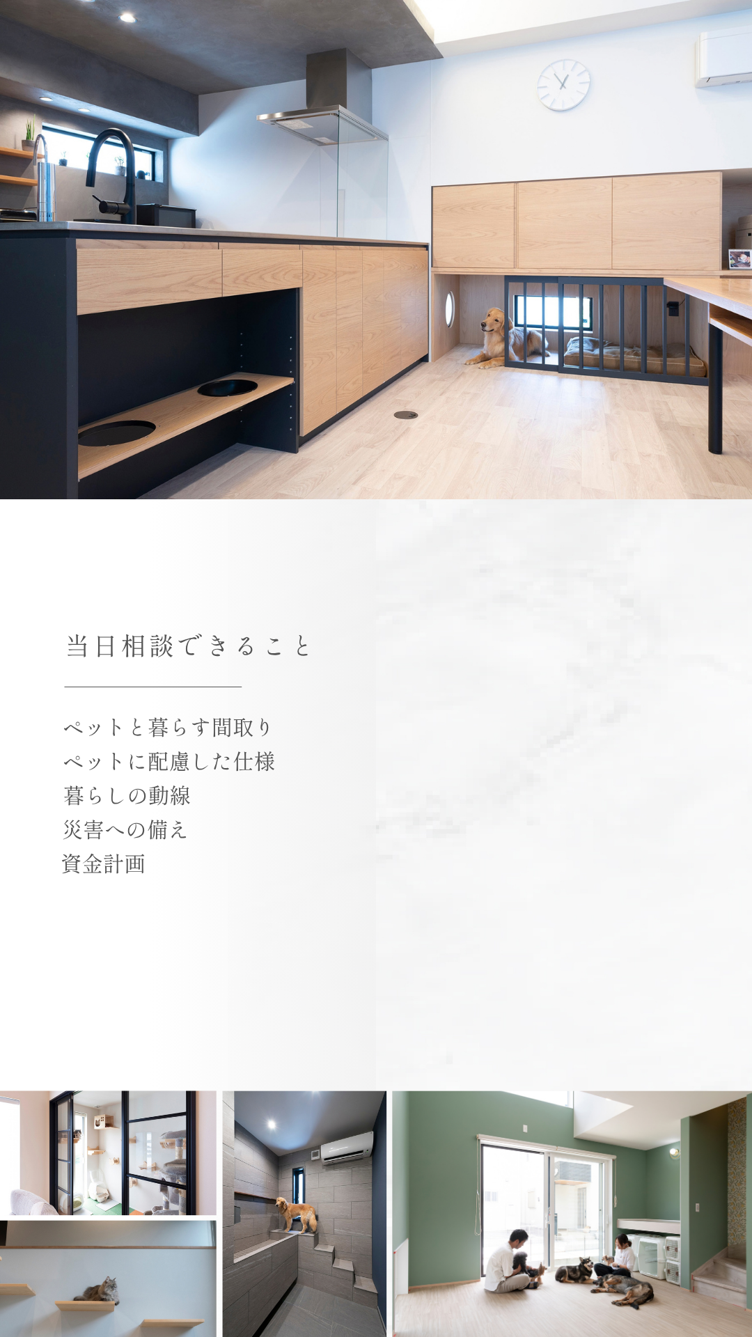 ペットと暮らす相談会、埼玉注文住宅、耐震住宅、災害に強い住宅、相談会、高性能住宅、SE構法、大空間・大開口、デザイン性、高気密・高断熱、吹き抜け、家事動線、子育て世帯、共働き世帯、共働き夫婦