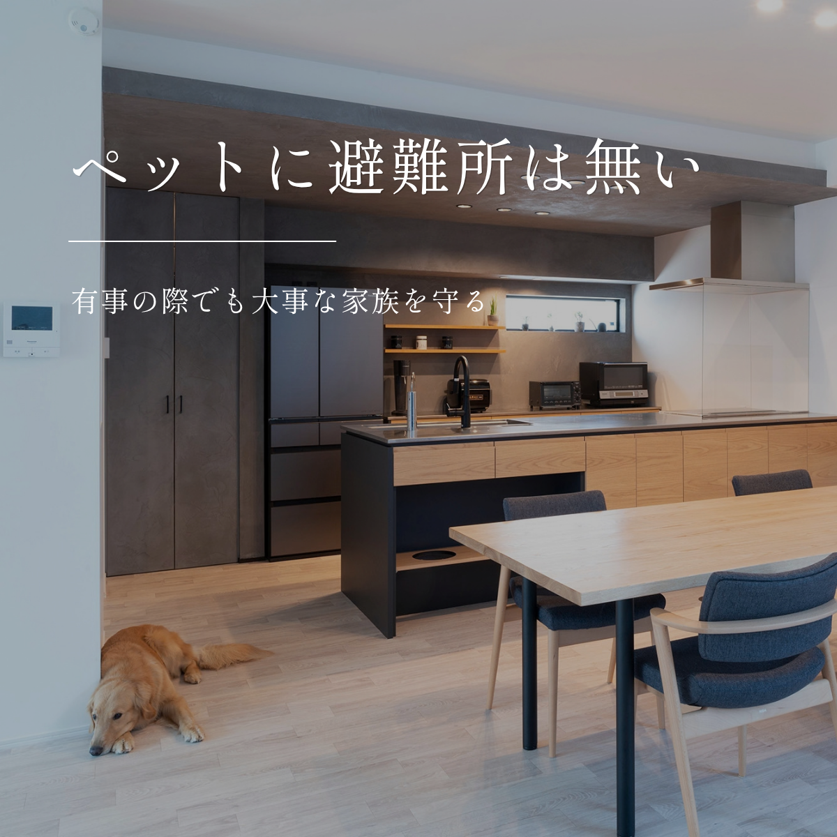 ペットに避難所はない