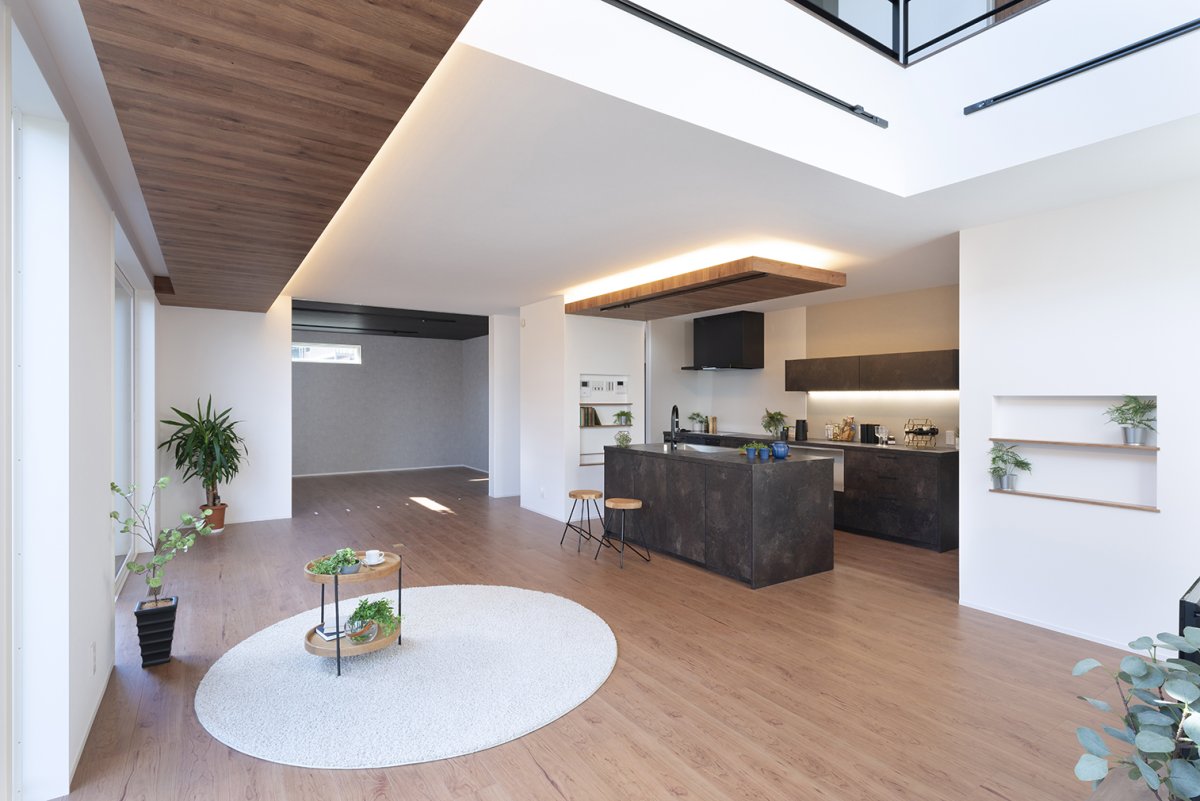 吹き抜け・大空間・大開口を実現できるのはSE構法だからこそ。柱と壁に頼らない構法。