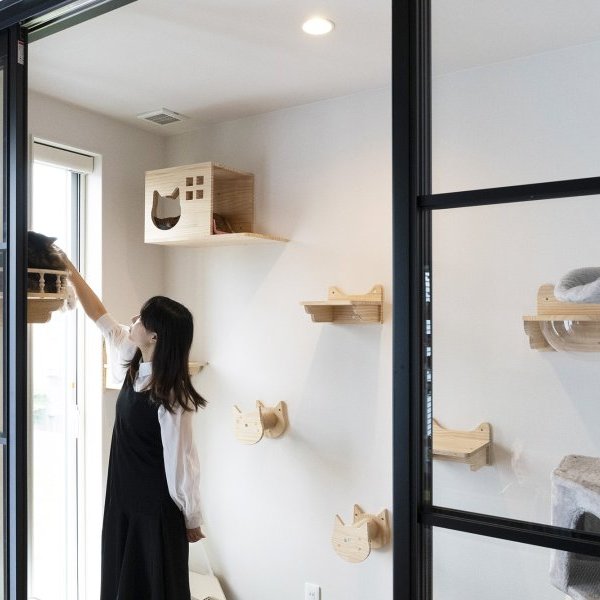 猫と音楽、暮らしを楽しむお家