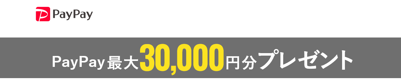 paypay PREMIUM CAMPAIGN paypay最大10000円分プレゼント