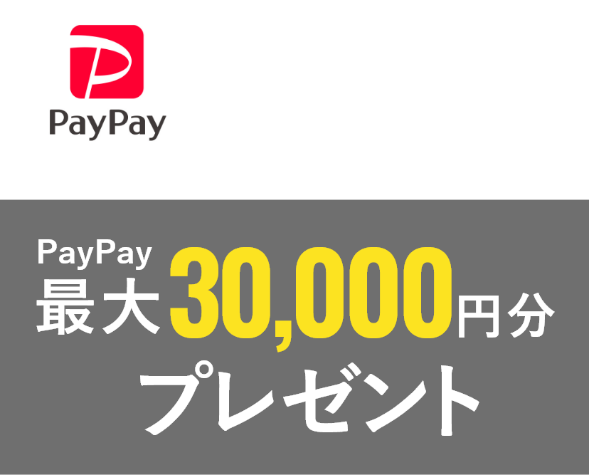 paypay PREMIUM CAMPAIGN paypay最大15000円分プレゼント