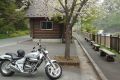 春のドライブ🏍 写真