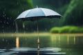 雨天決行 写真