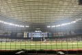 現地体験⚾ 写真